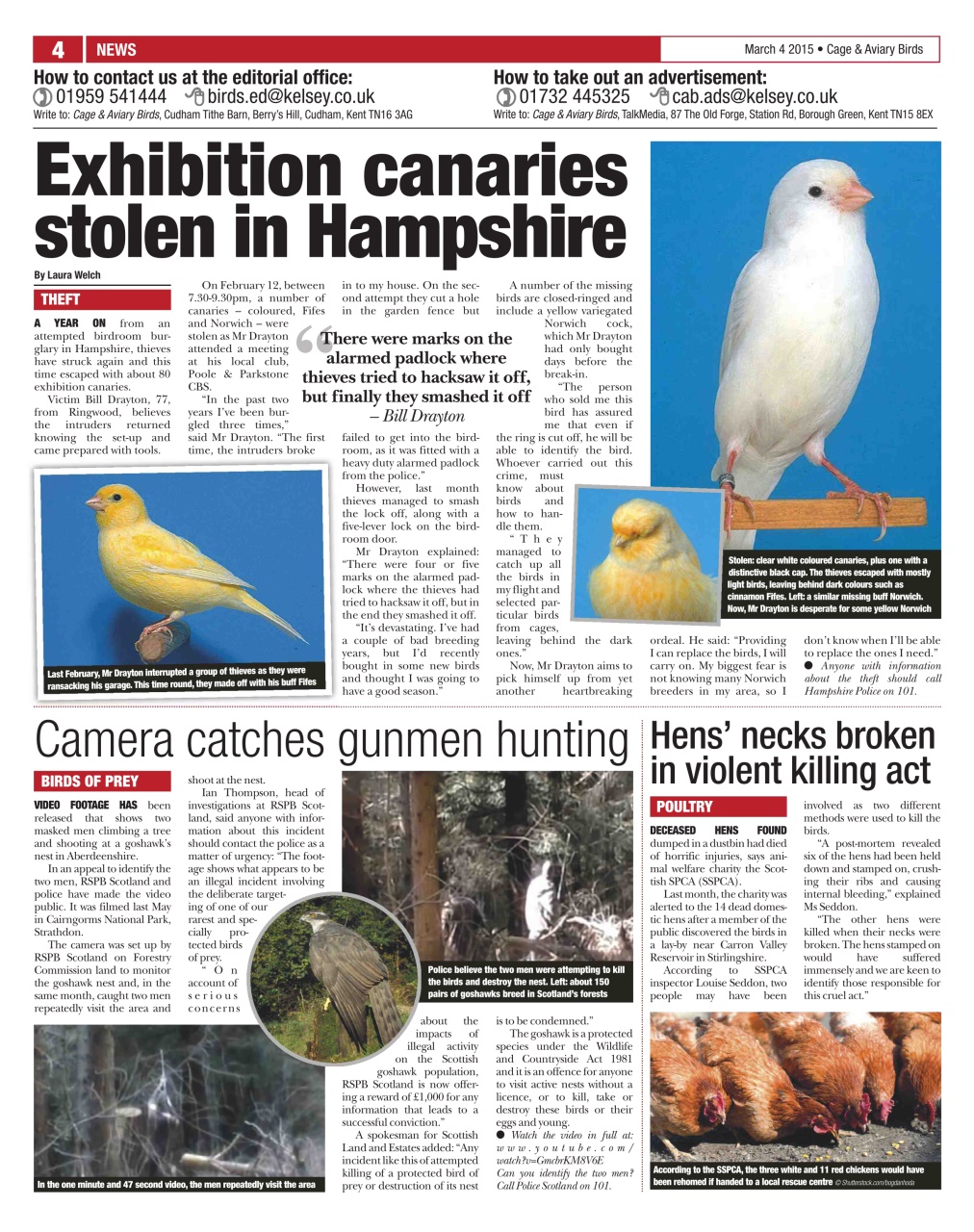 Cage & Aviary Birds Preview Pages