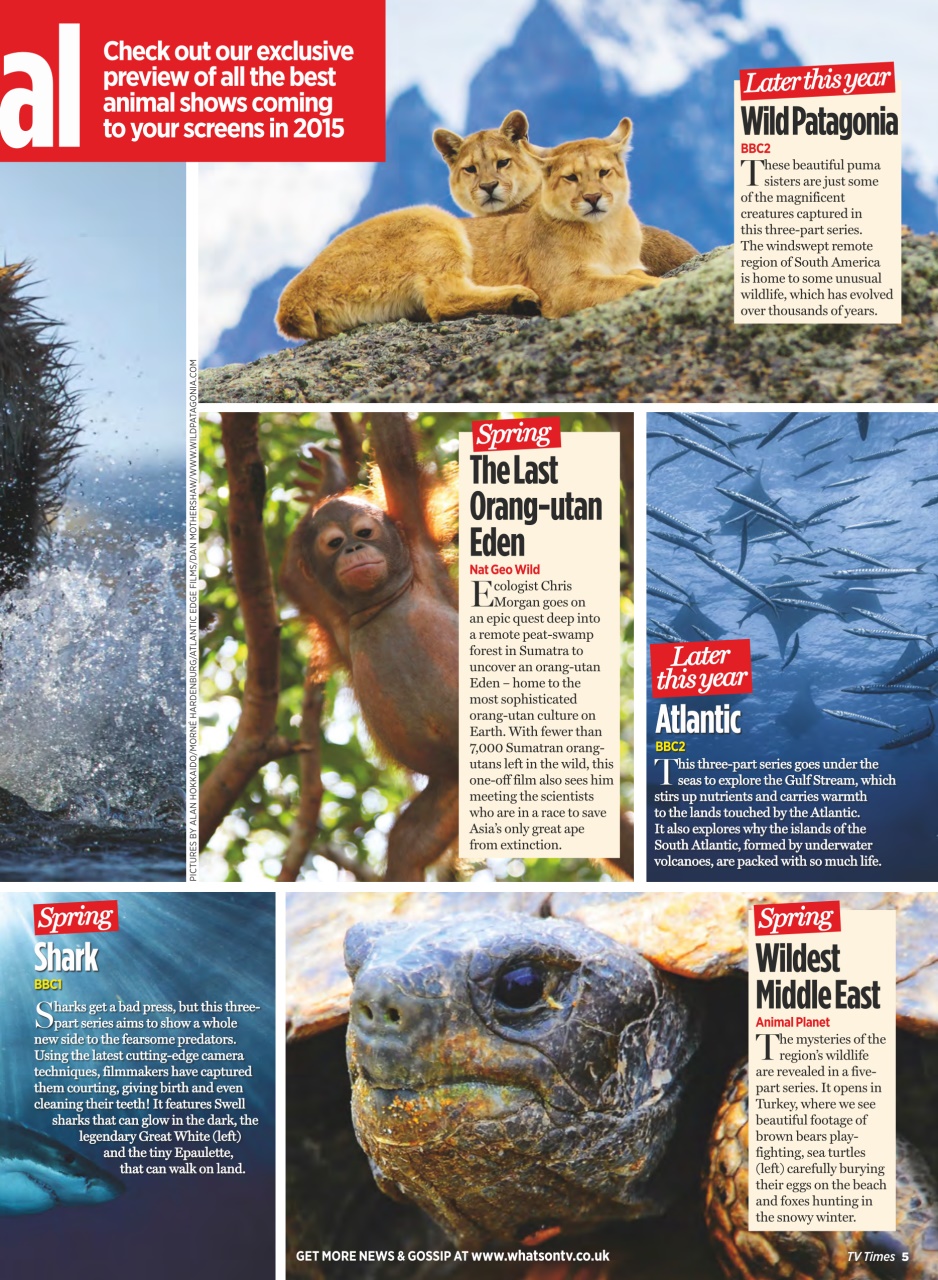 TV Times Preview Pages