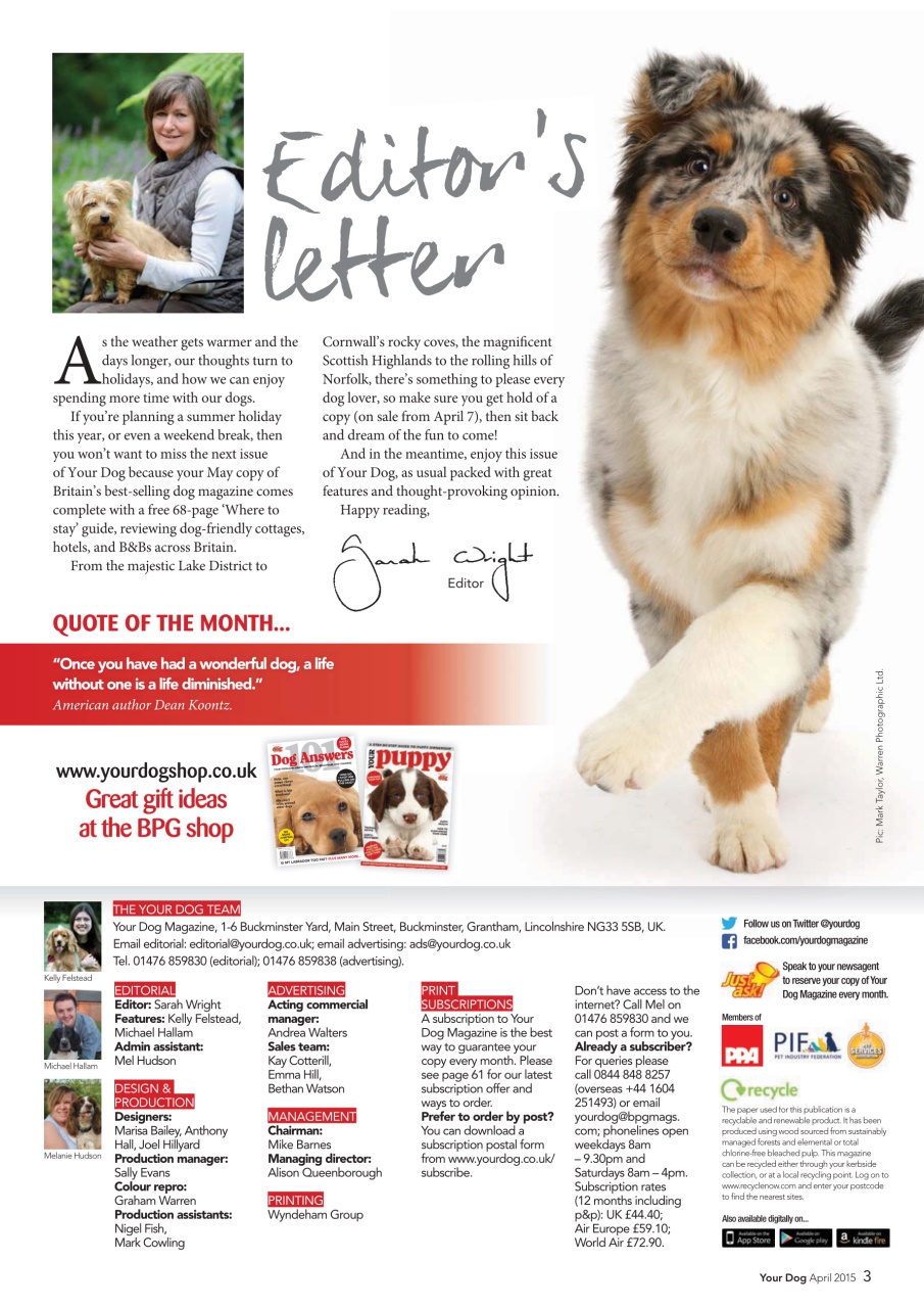 Your Dog Preview Pages