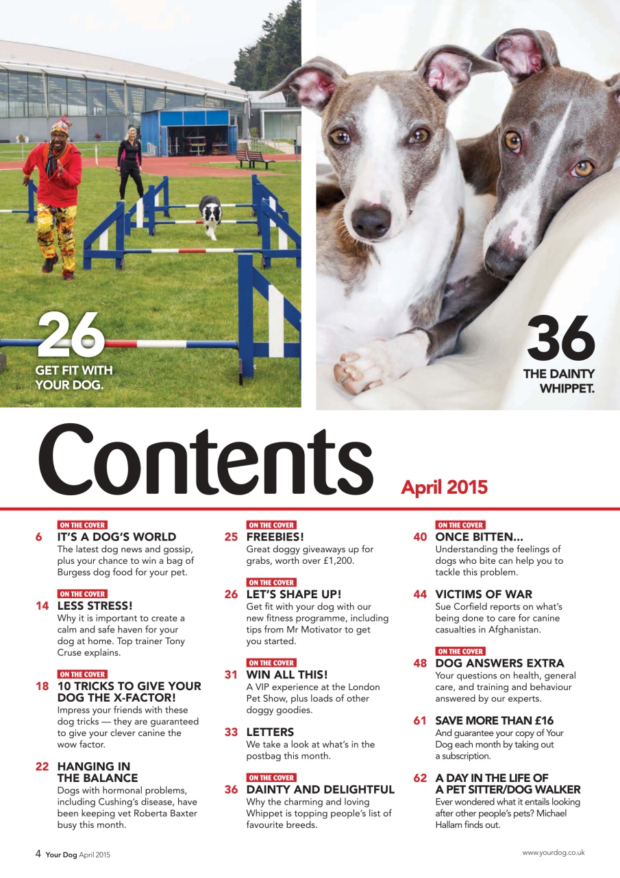 Your Dog Preview Pages