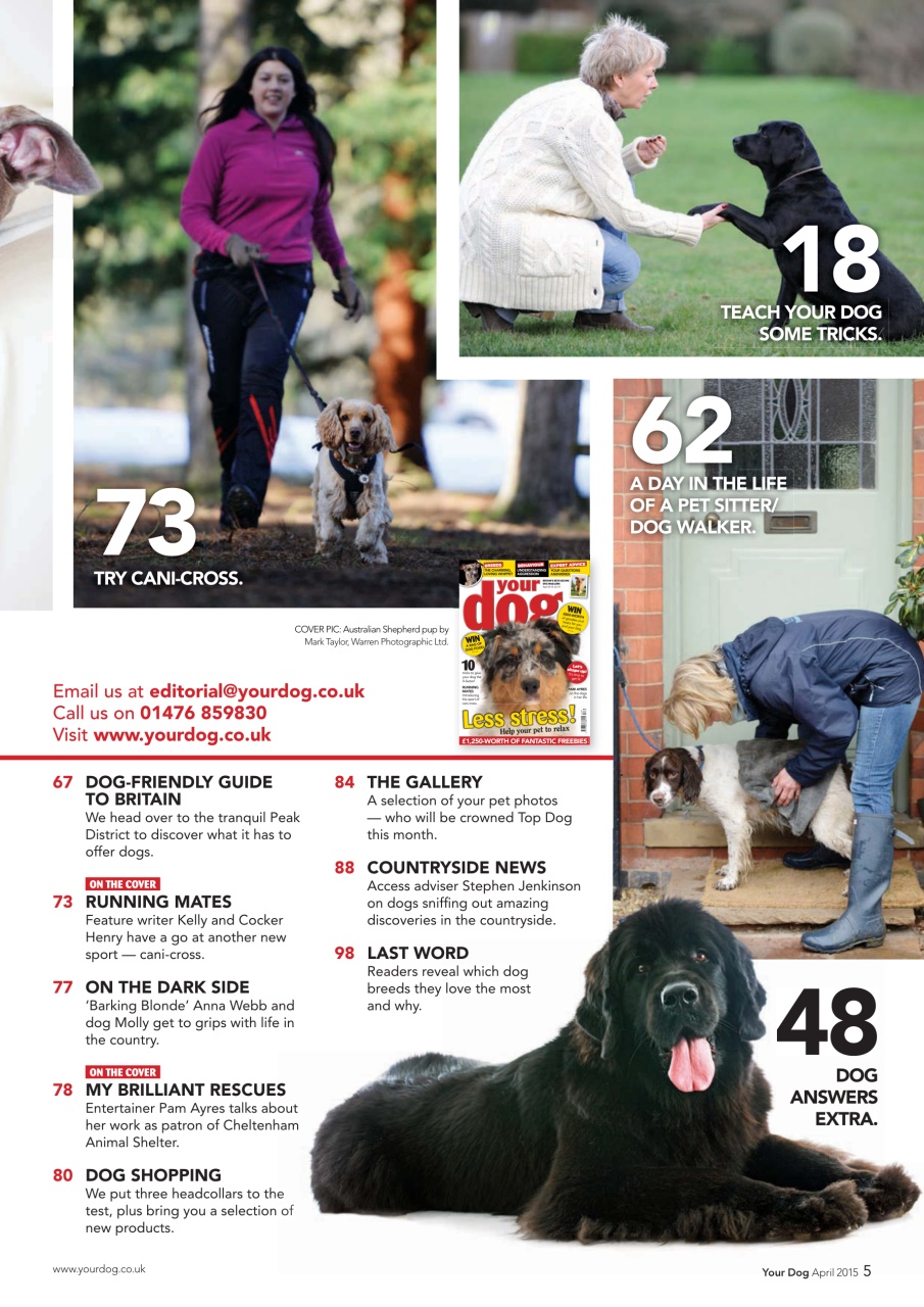 Your Dog Preview Pages