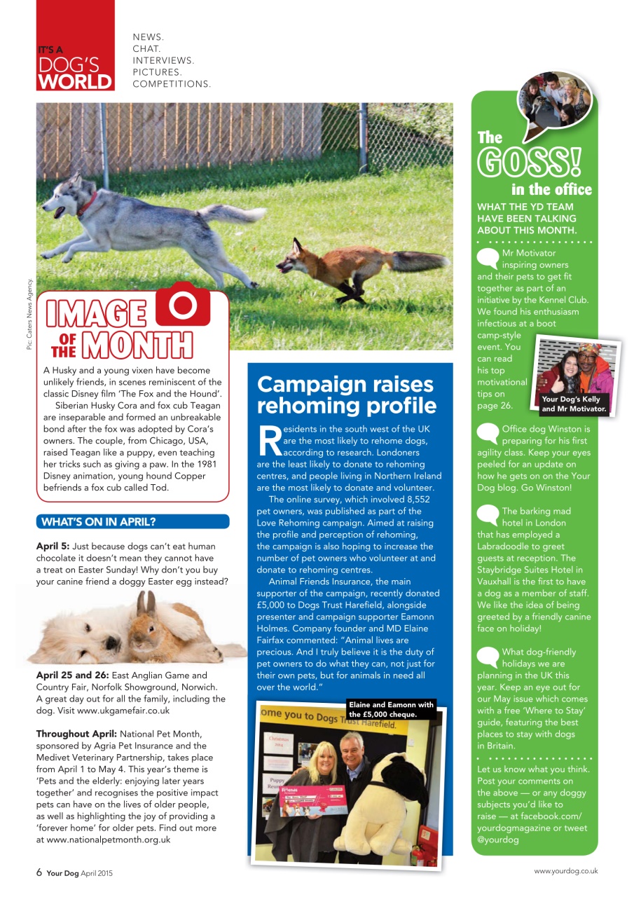 Your Dog Preview Pages