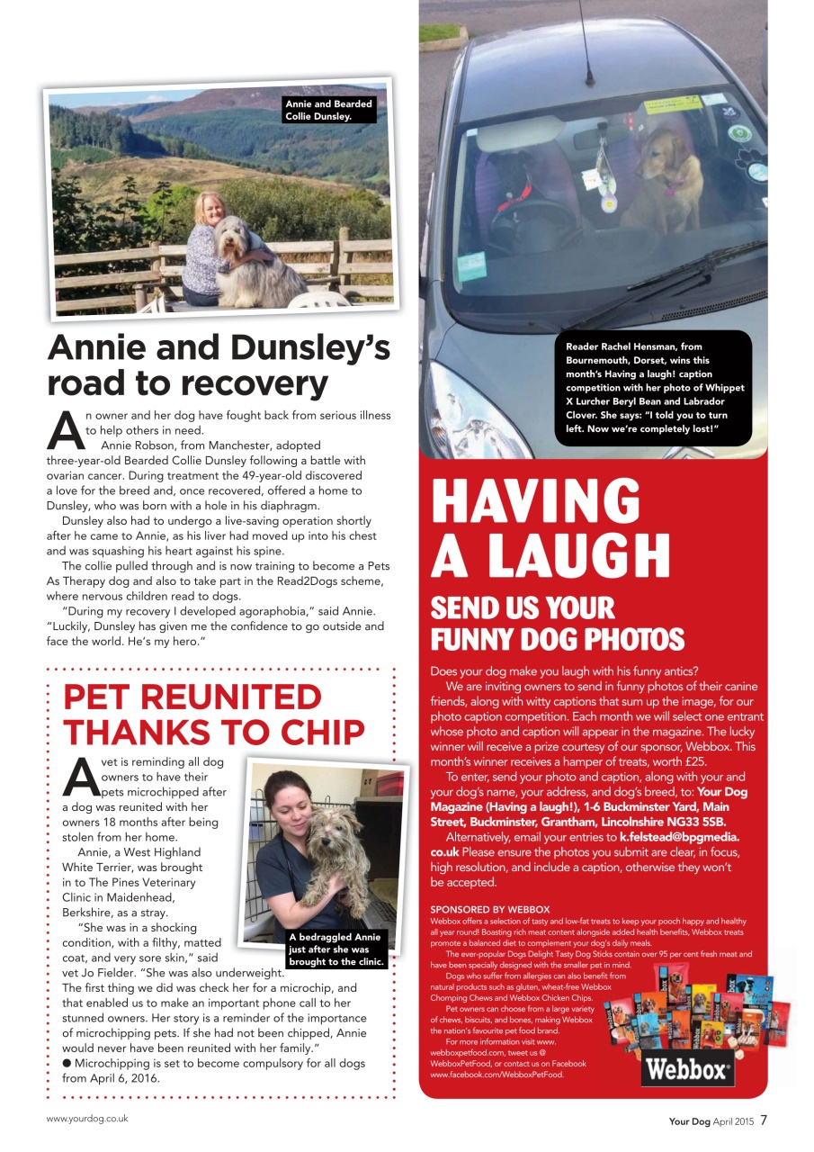 Your Dog Preview Pages