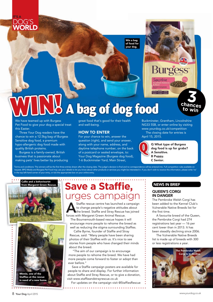 Your Dog Preview Pages