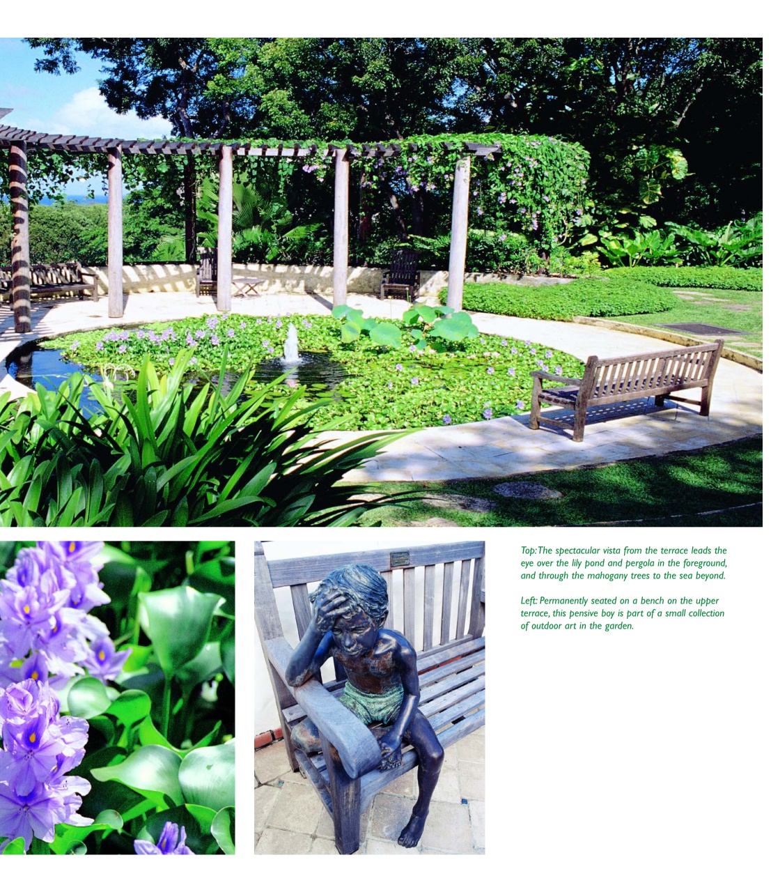 Island Life Preview Pages