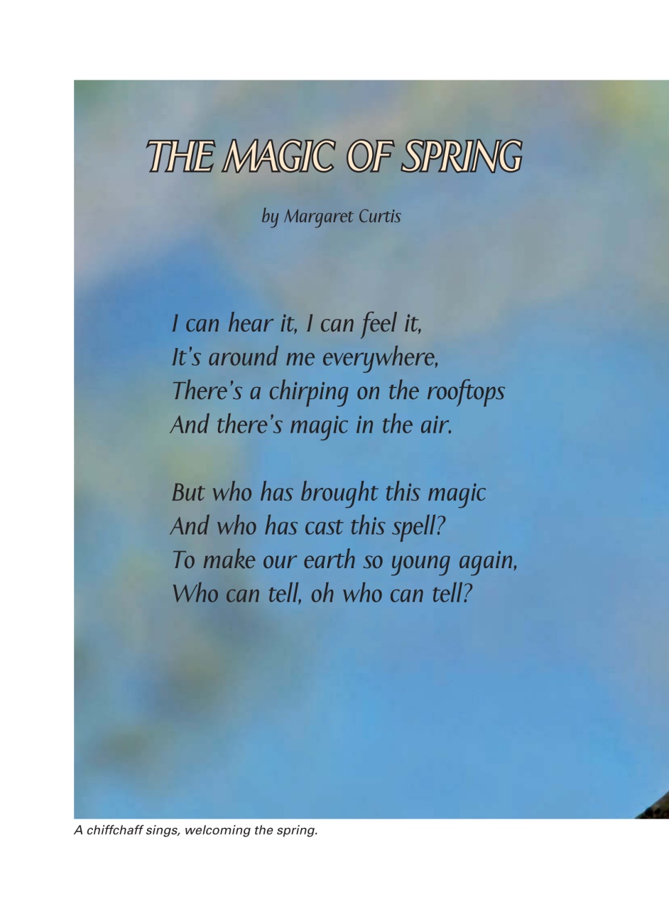 Evergreen Preview Pages