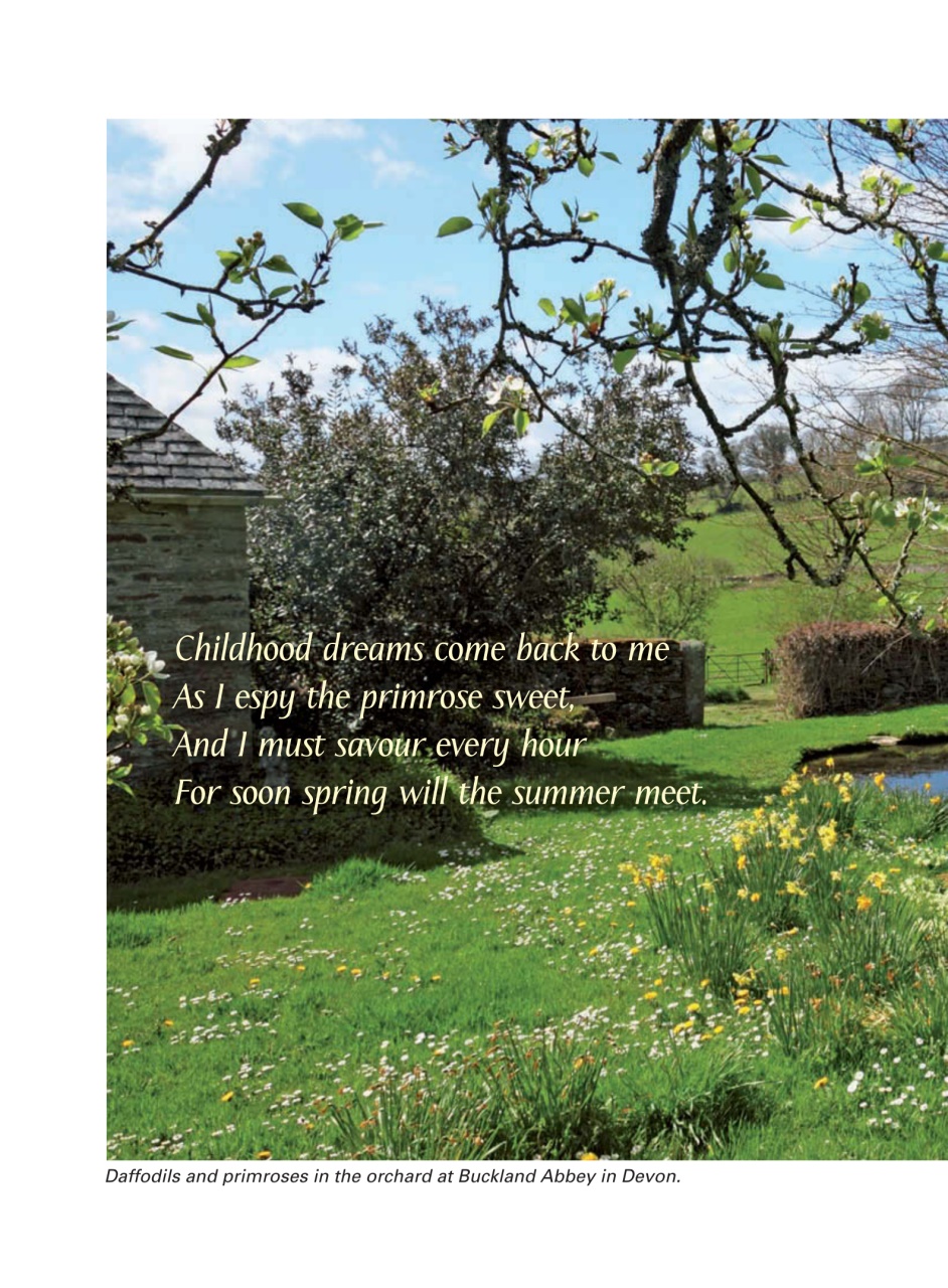 Evergreen Preview Pages