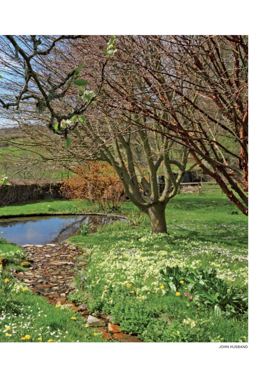 Evergreen Preview Pages