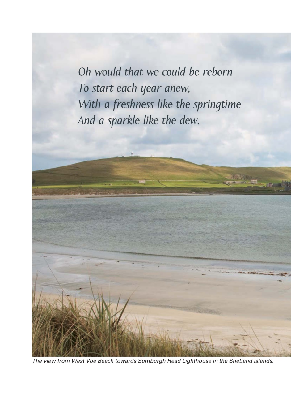 Evergreen Preview Pages