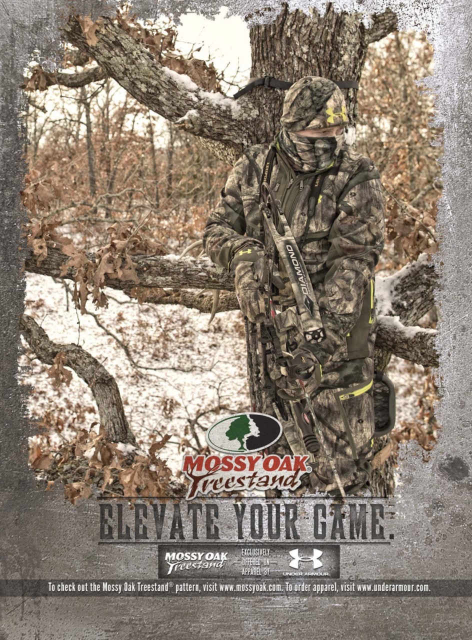 Bow & Arrow Hunting Preview Pages