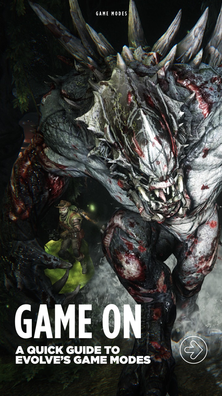 Gamer Interactive Preview Pages