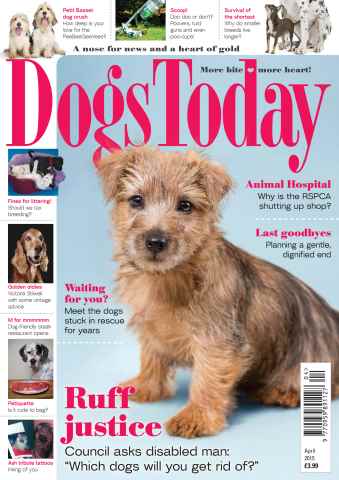 Dogs Today Magazine issue April 2015