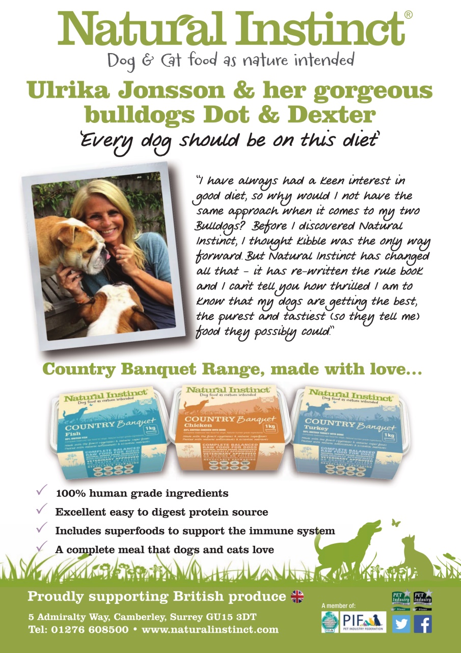 Dogs Today Magazine Preview Pages