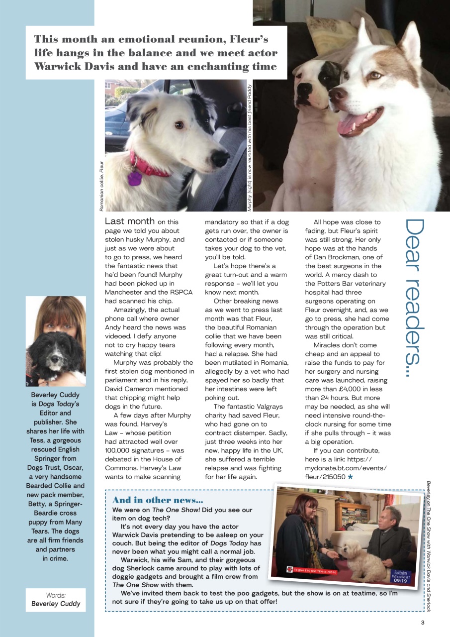 Dogs Today Magazine Preview Pages