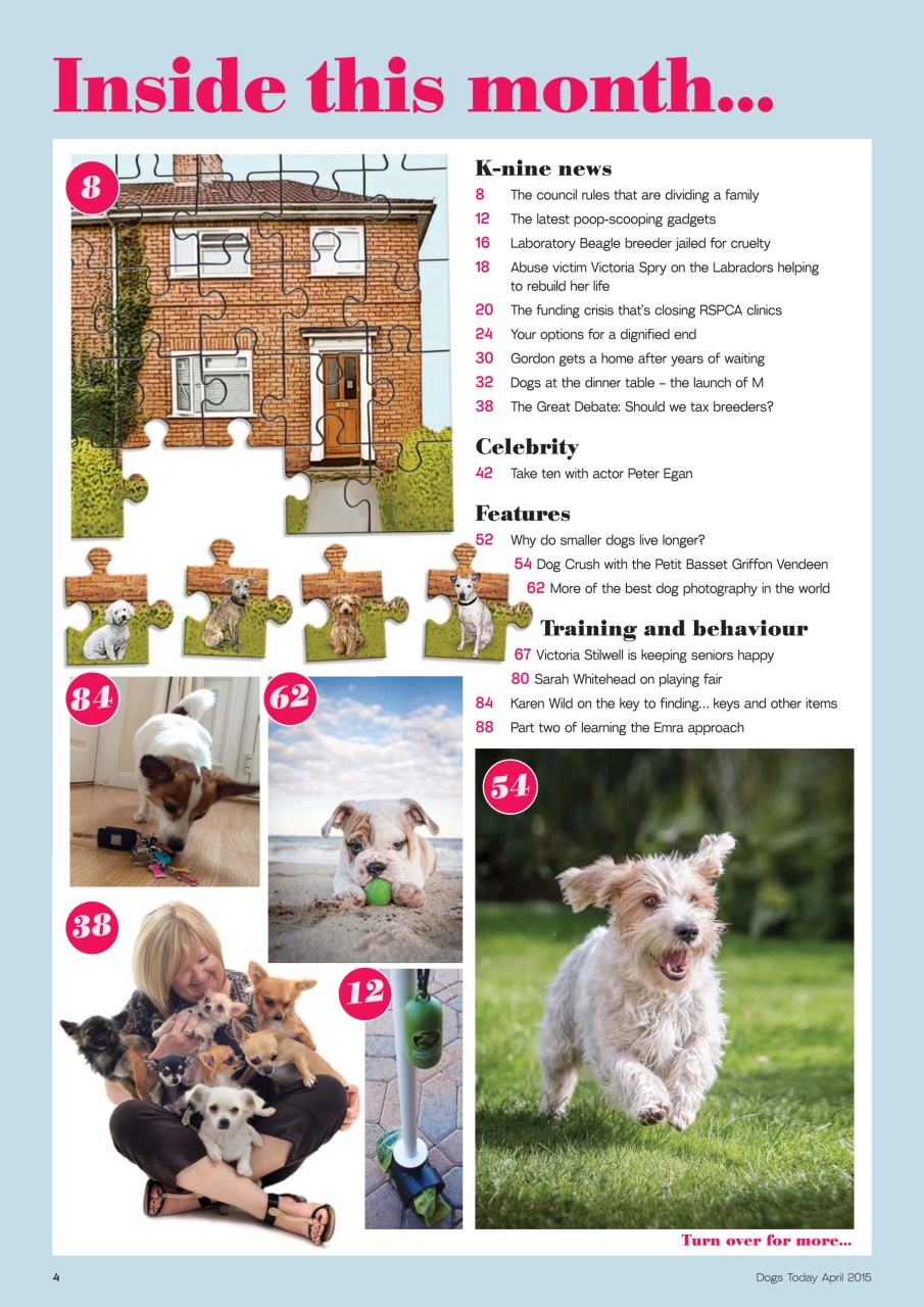 Dogs Today Magazine Preview Pages