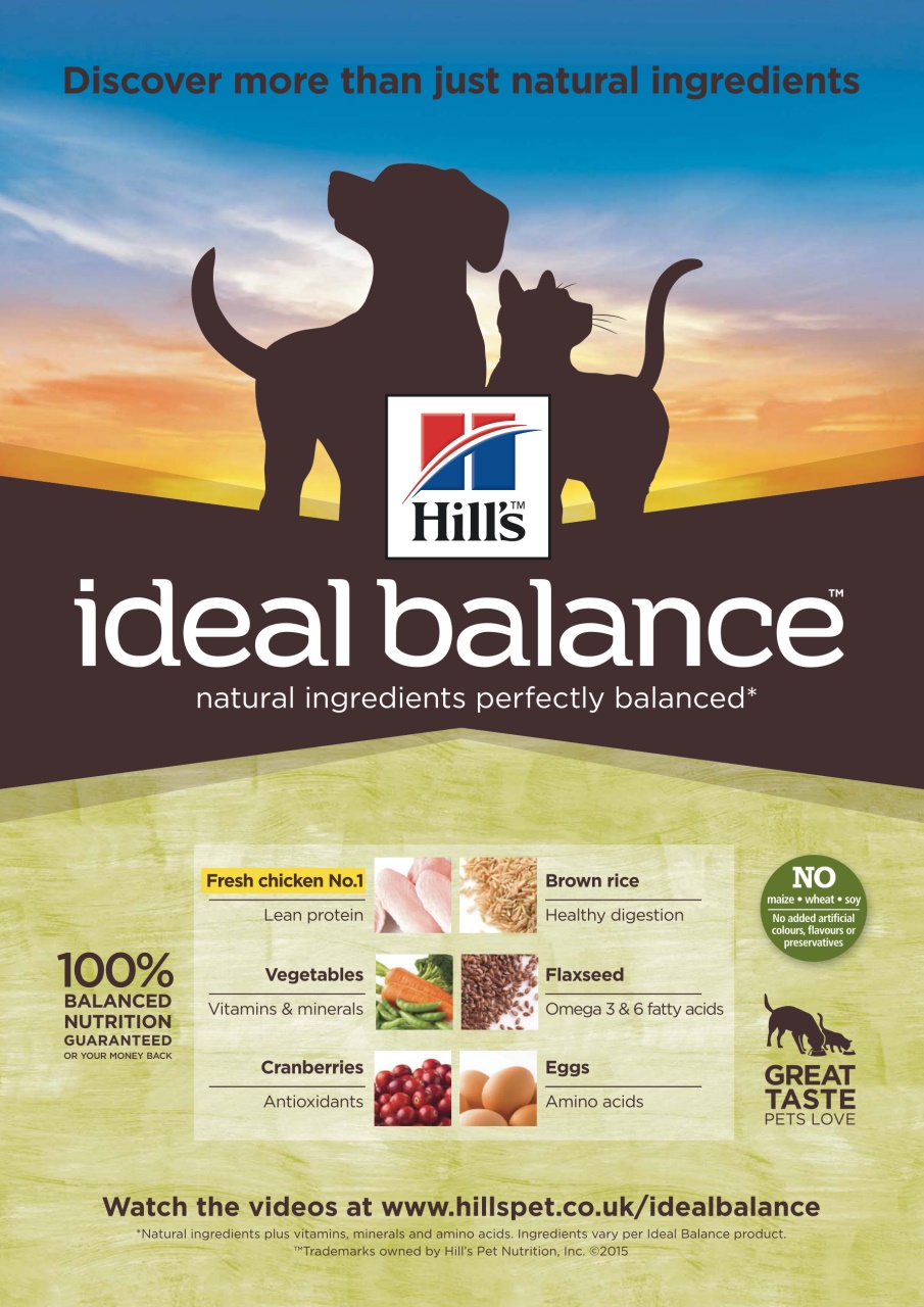 Dogs Today Magazine Preview Pages