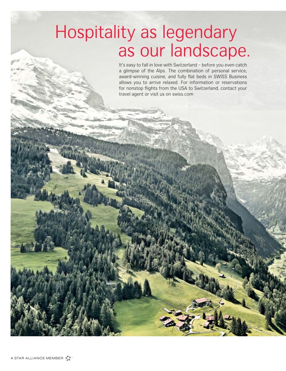 Passport Preview Pages