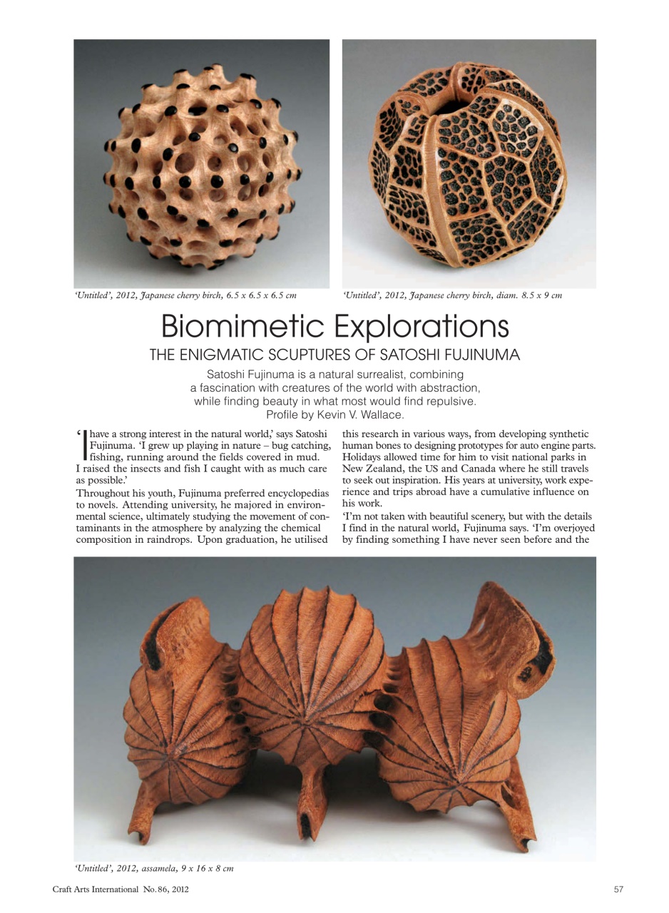 Craft Arts International Preview Pages