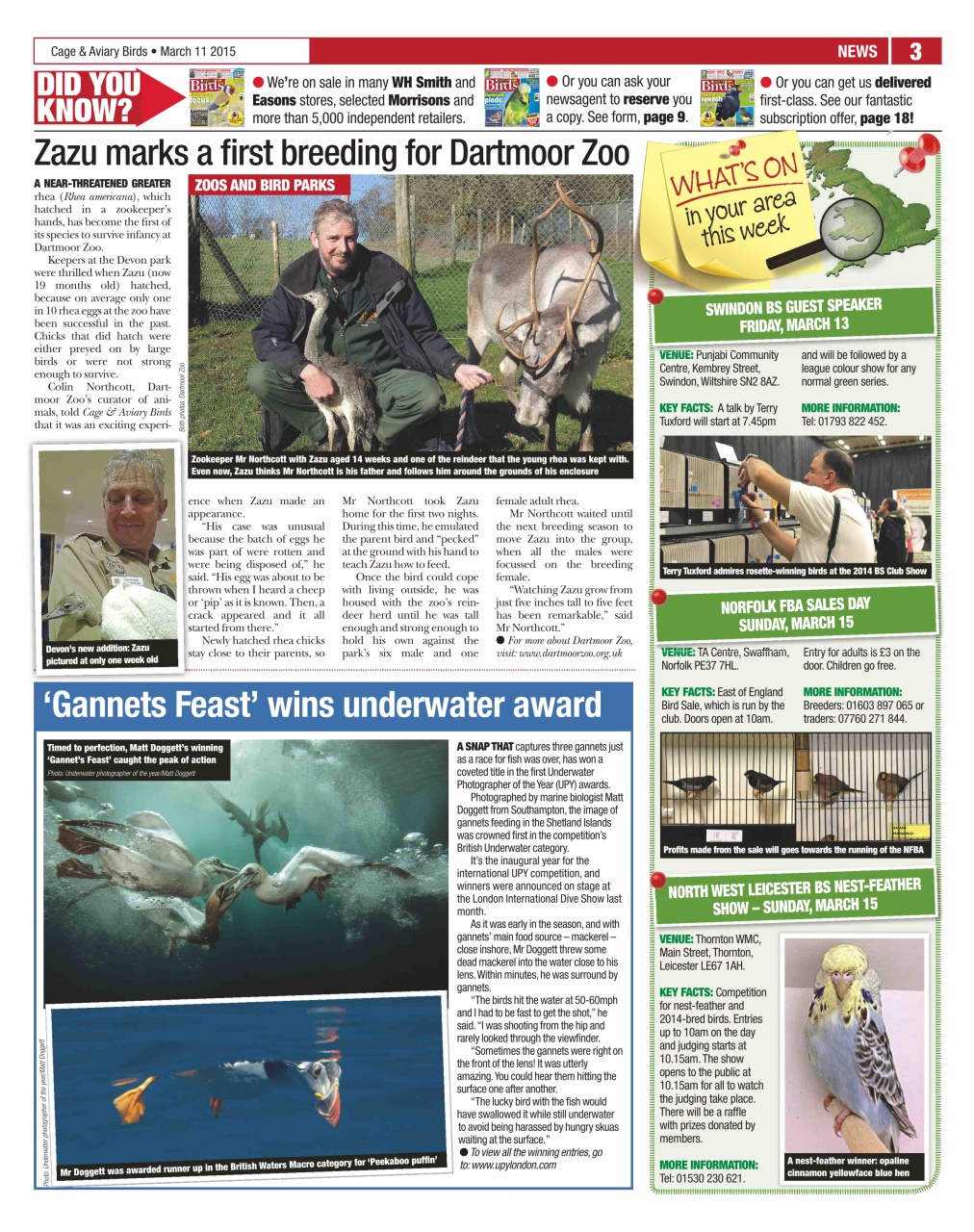 Cage & Aviary Birds Preview Pages