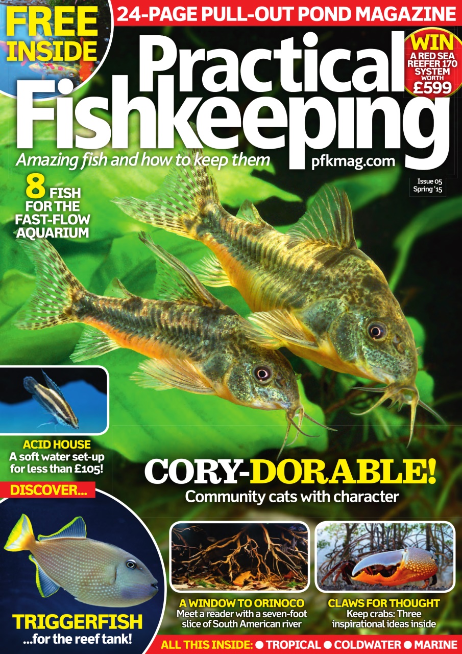 Practical Fishkeeping Preview Pages