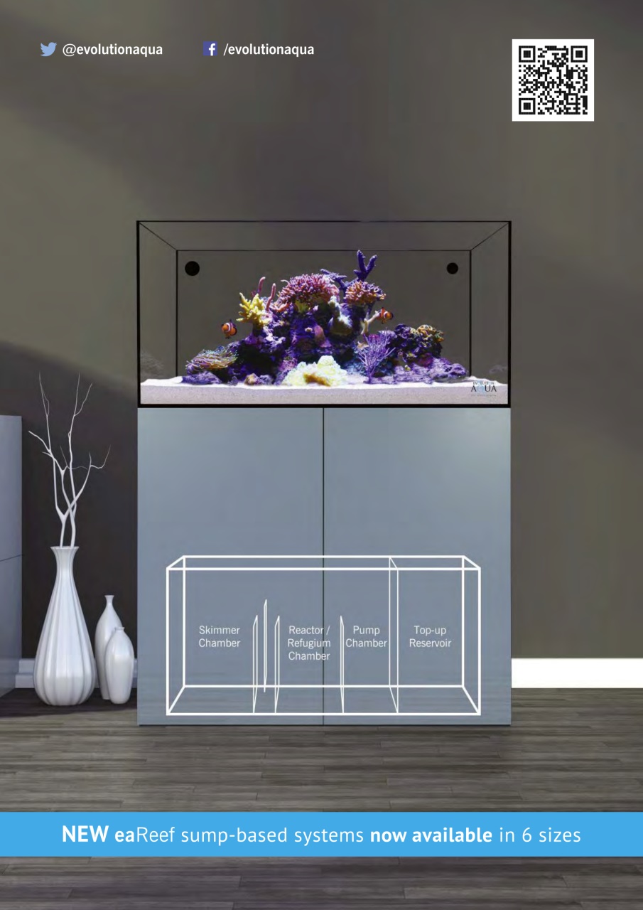 Practical Fishkeeping Preview Pages