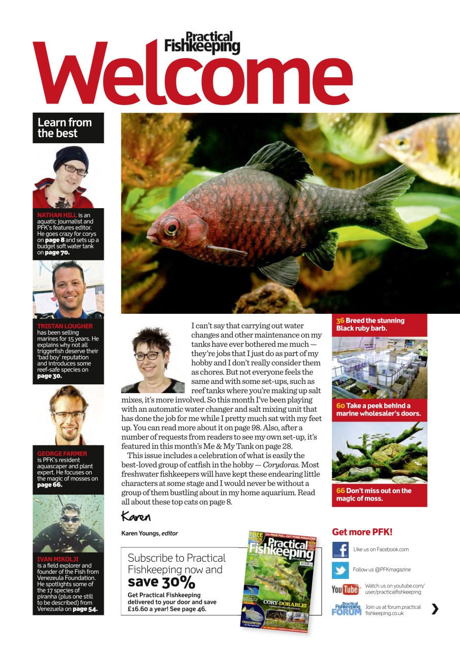 Practical Fishkeeping Preview Pages