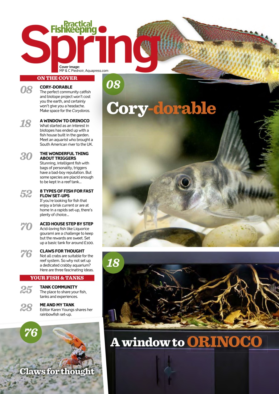 Practical Fishkeeping Preview Pages