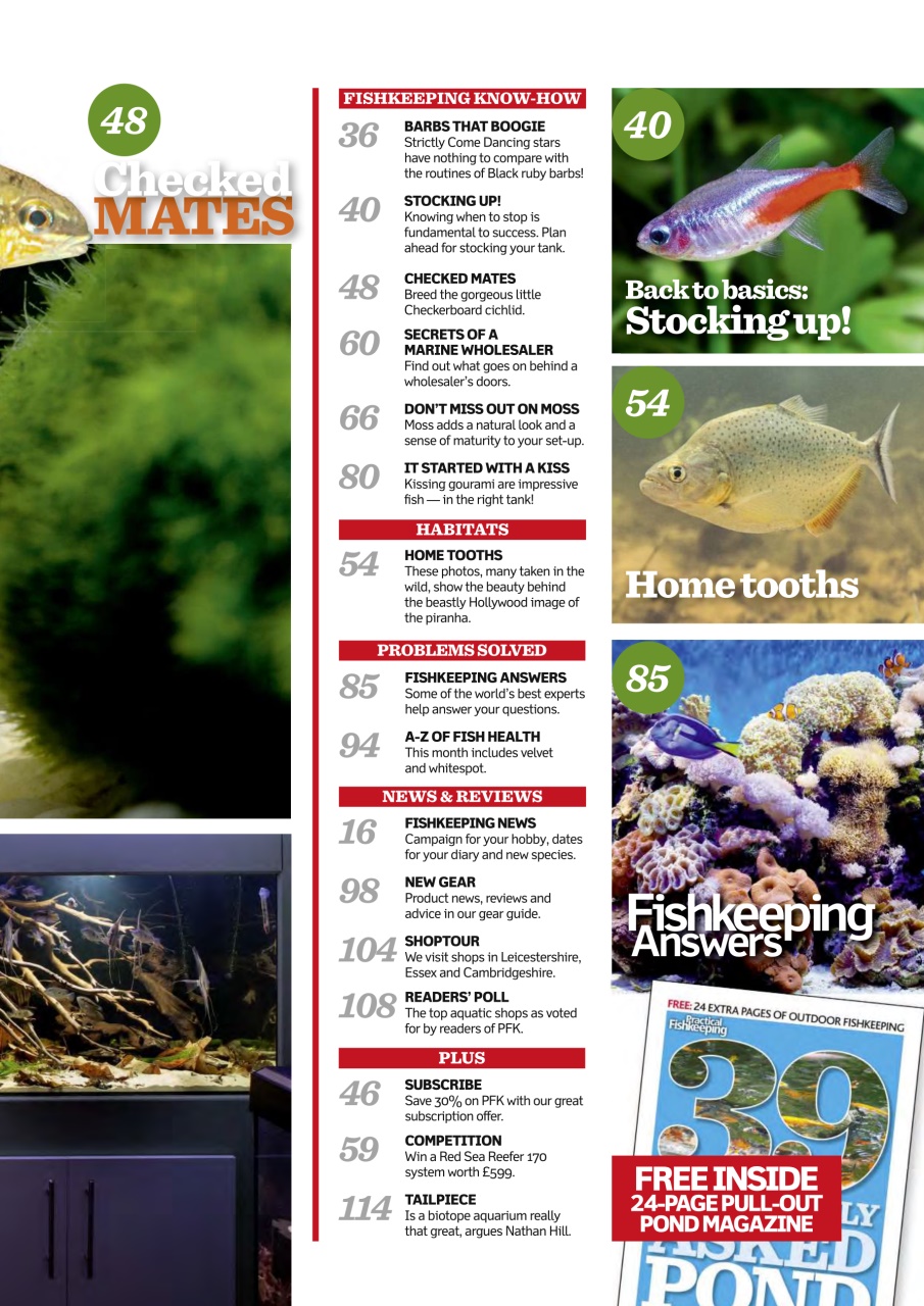 Practical Fishkeeping Preview Pages