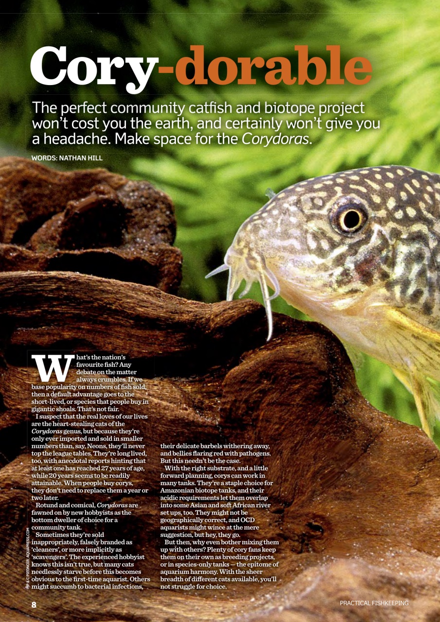 Practical Fishkeeping Preview Pages