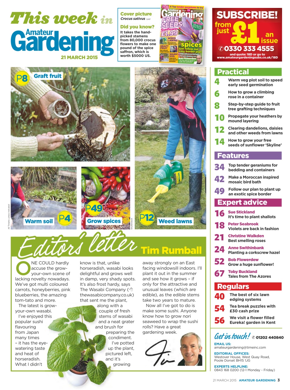 Amateur Gardening Preview Pages