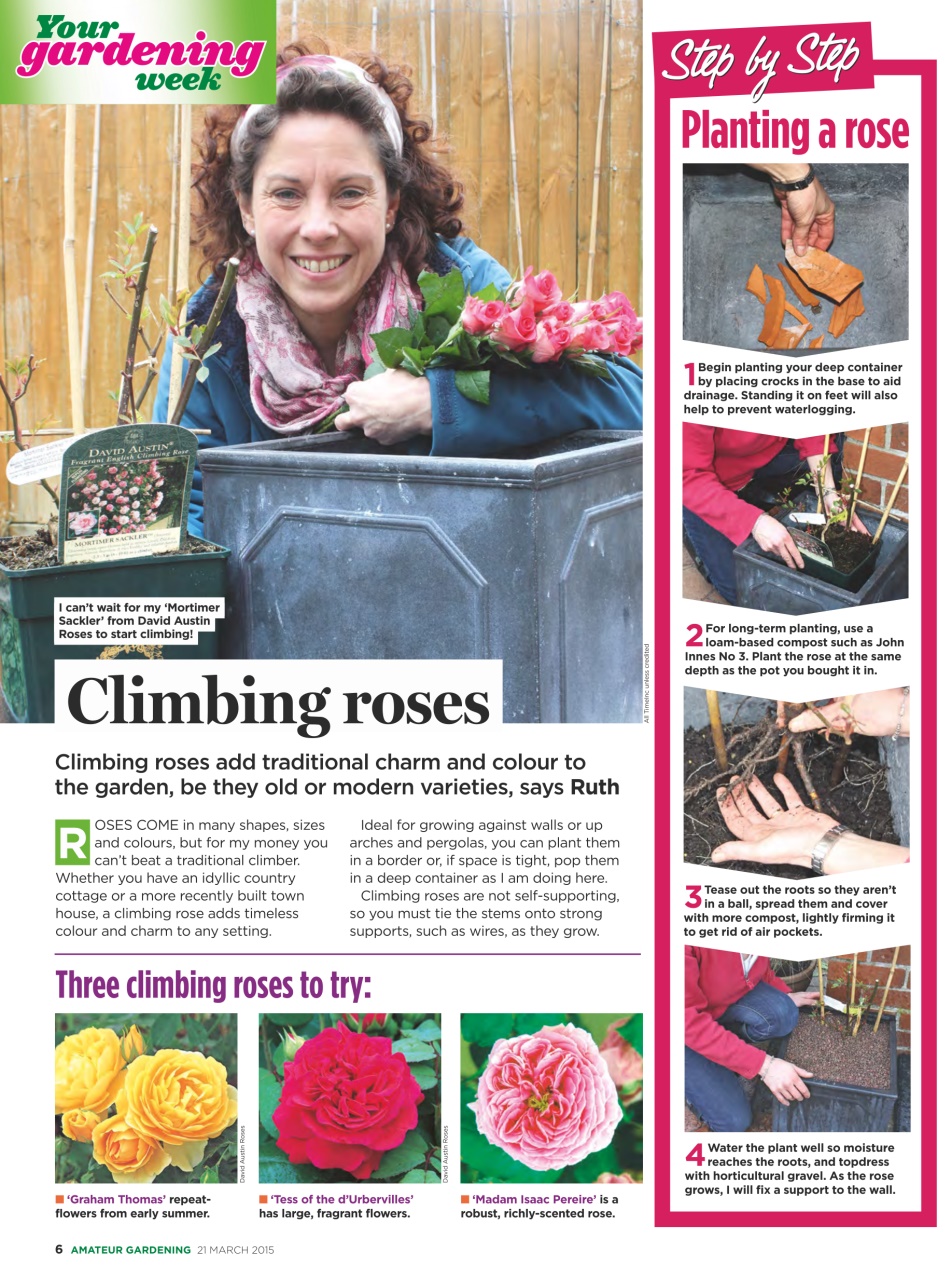 Amateur Gardening Preview Pages
