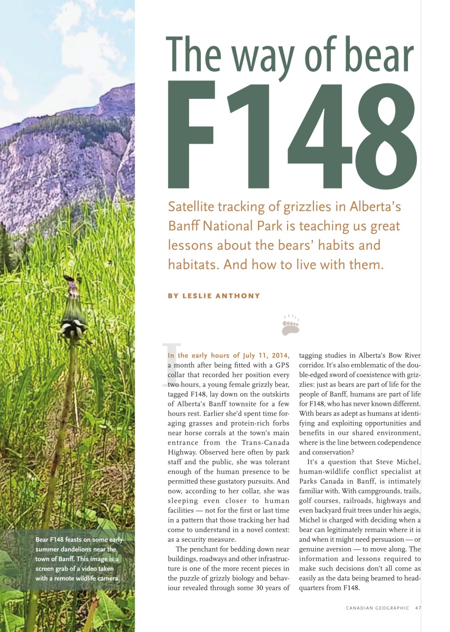 Canadian Geographic Preview Pages