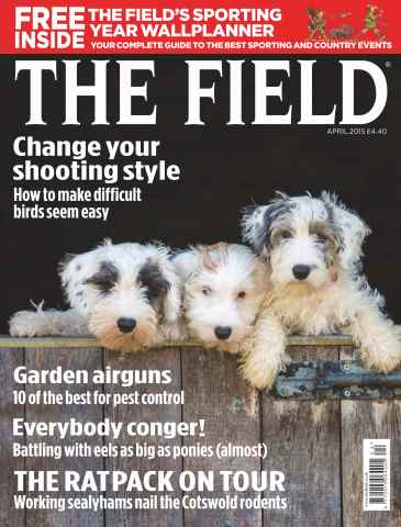 The Field issue April 2015