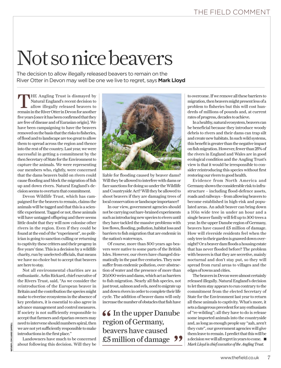 The Field Preview Pages