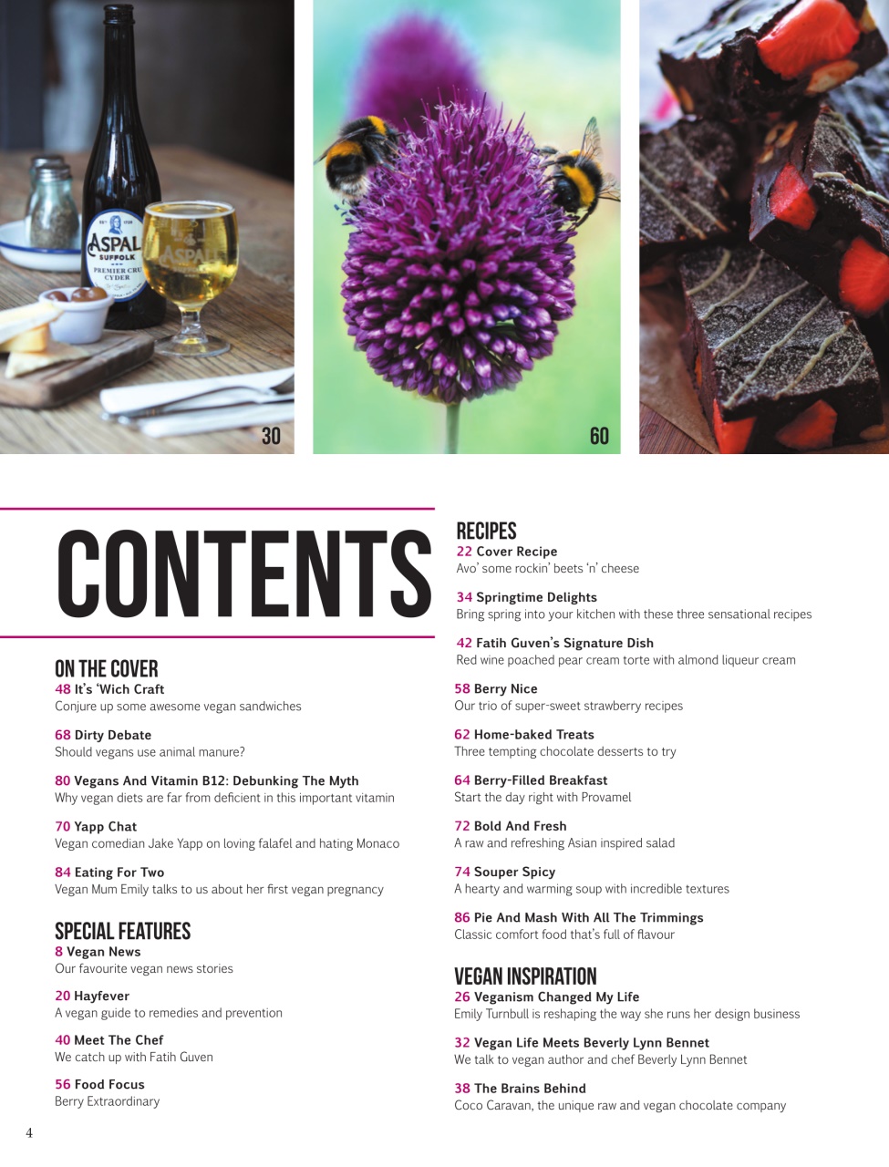 Vegan Life Preview Pages