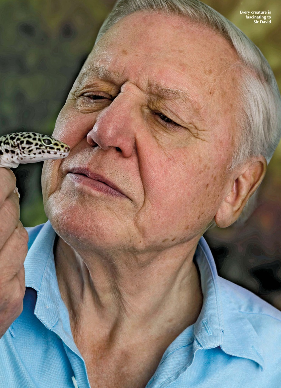 The Scots Magazine Preview Pages