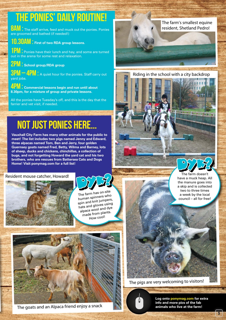 Pony Magazine Preview Pages
