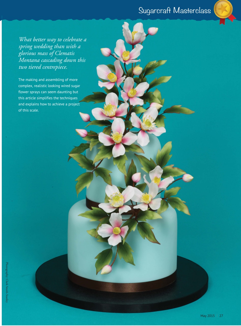 Cake Decoration & Sugarcraft Magazine Preview Pages