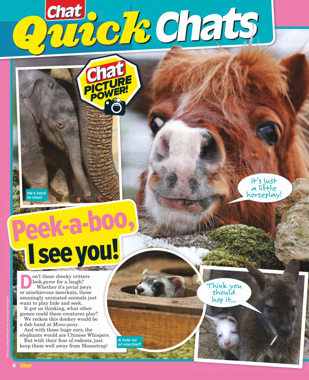 Chat Specials Preview Pages