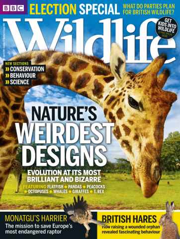 BBC Wildlife Magazine issue April 2015