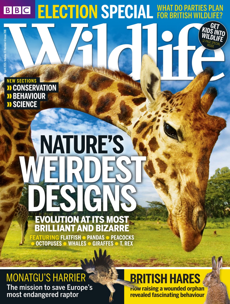 BBC Wildlife Magazine Preview Pages