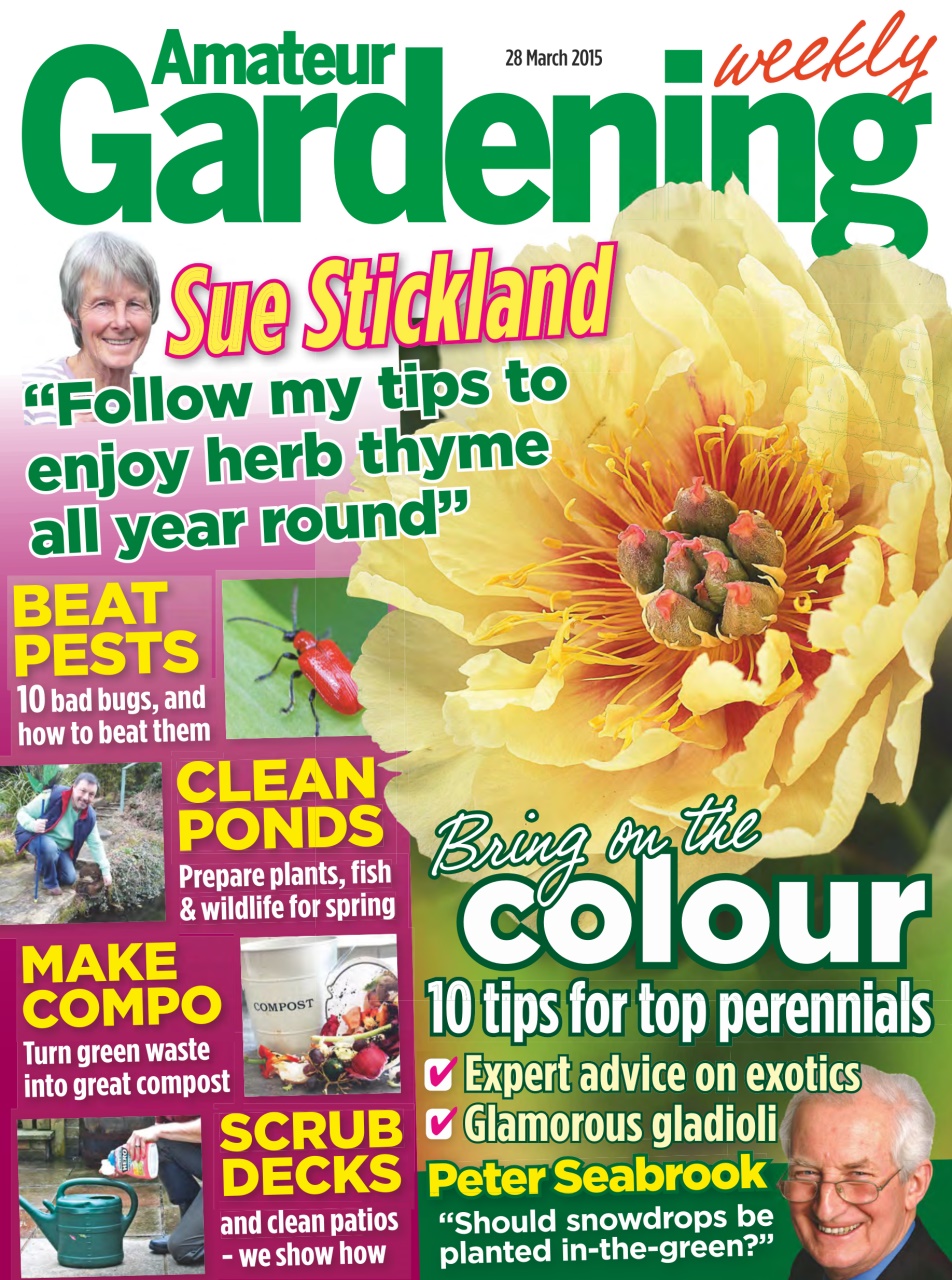 Amateur Gardening Preview Pages