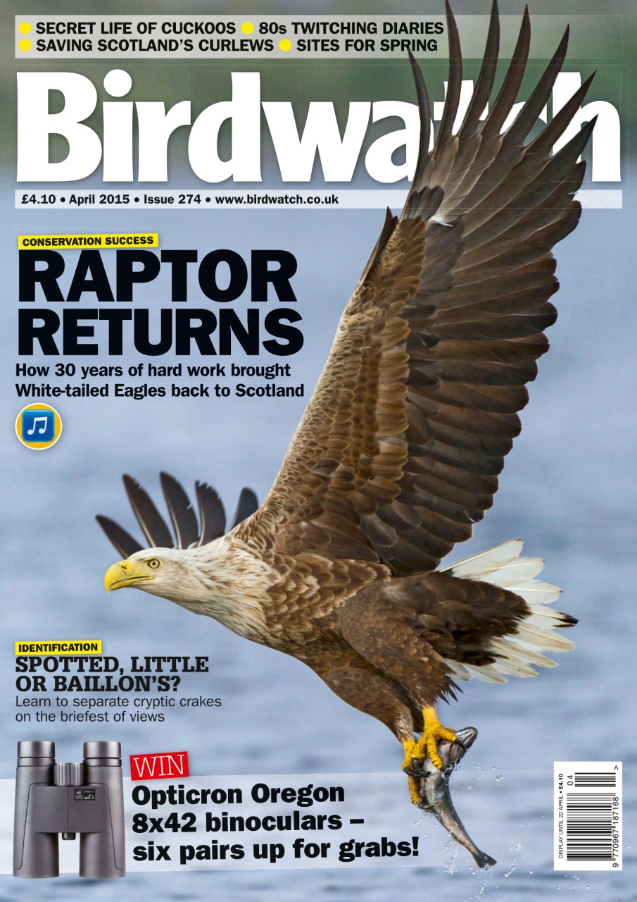 Birdwatch Magazine Preview Pages