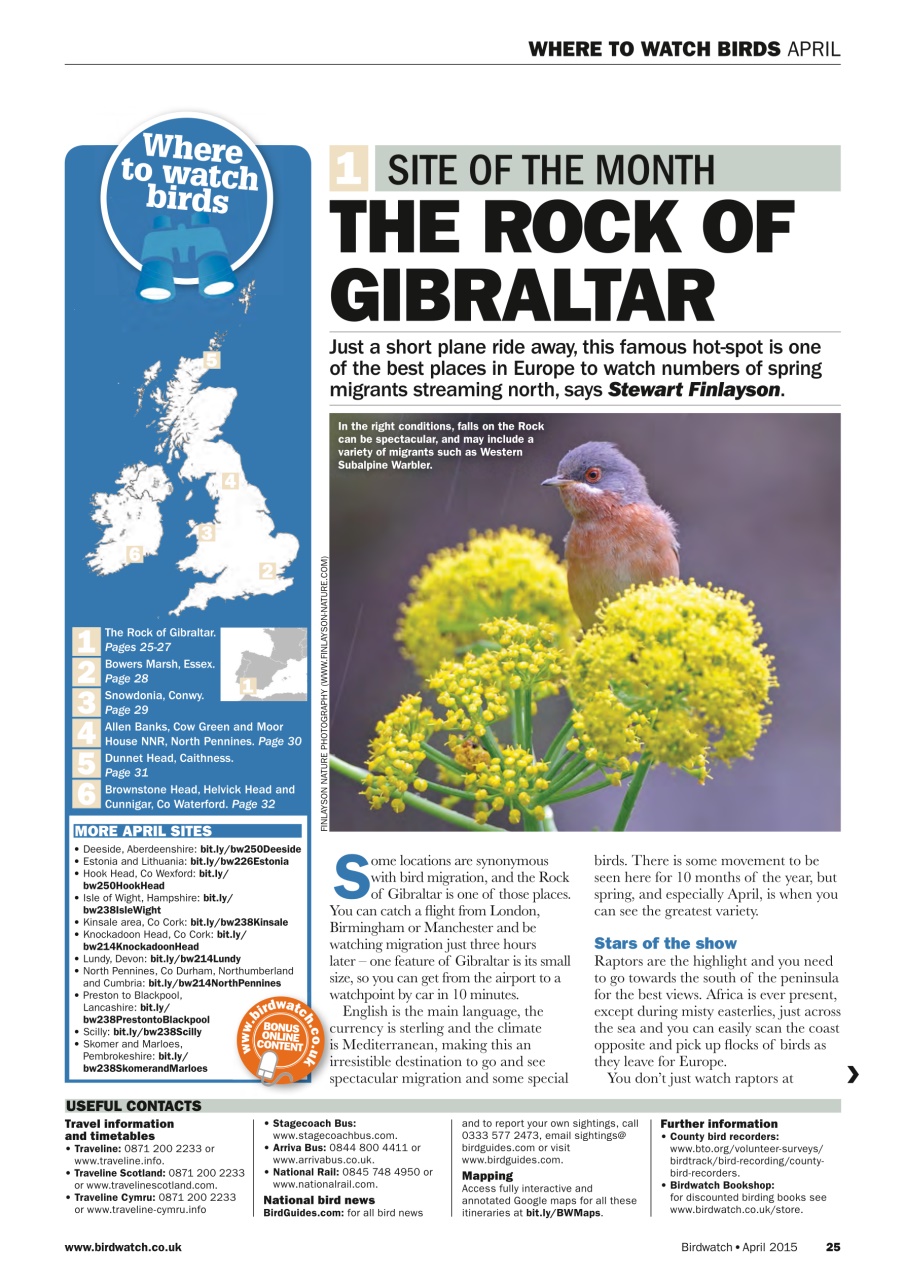 Birdwatch Magazine Preview Pages