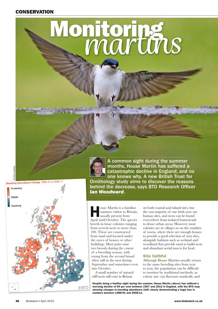 Birdwatch Magazine Preview Pages