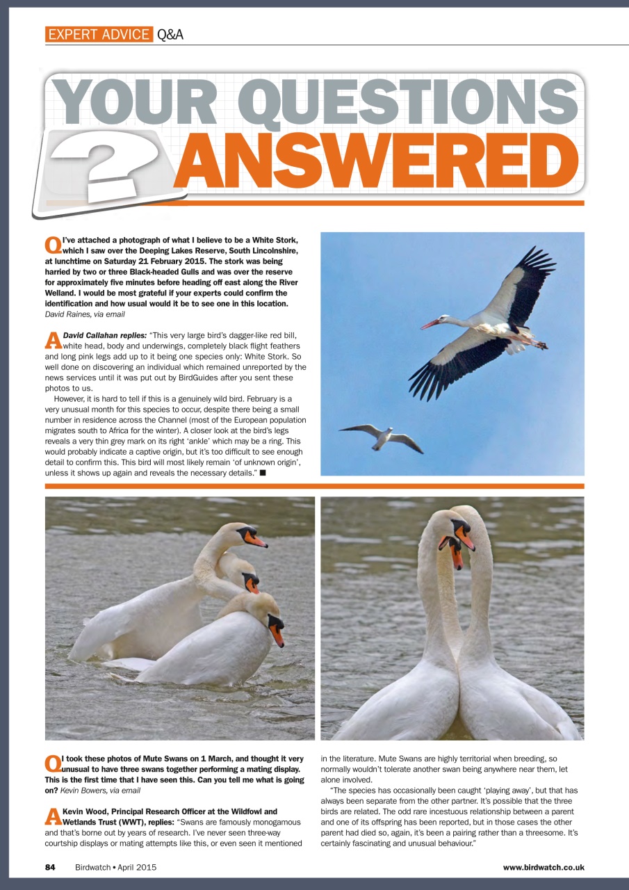 Birdwatch Magazine Preview Pages