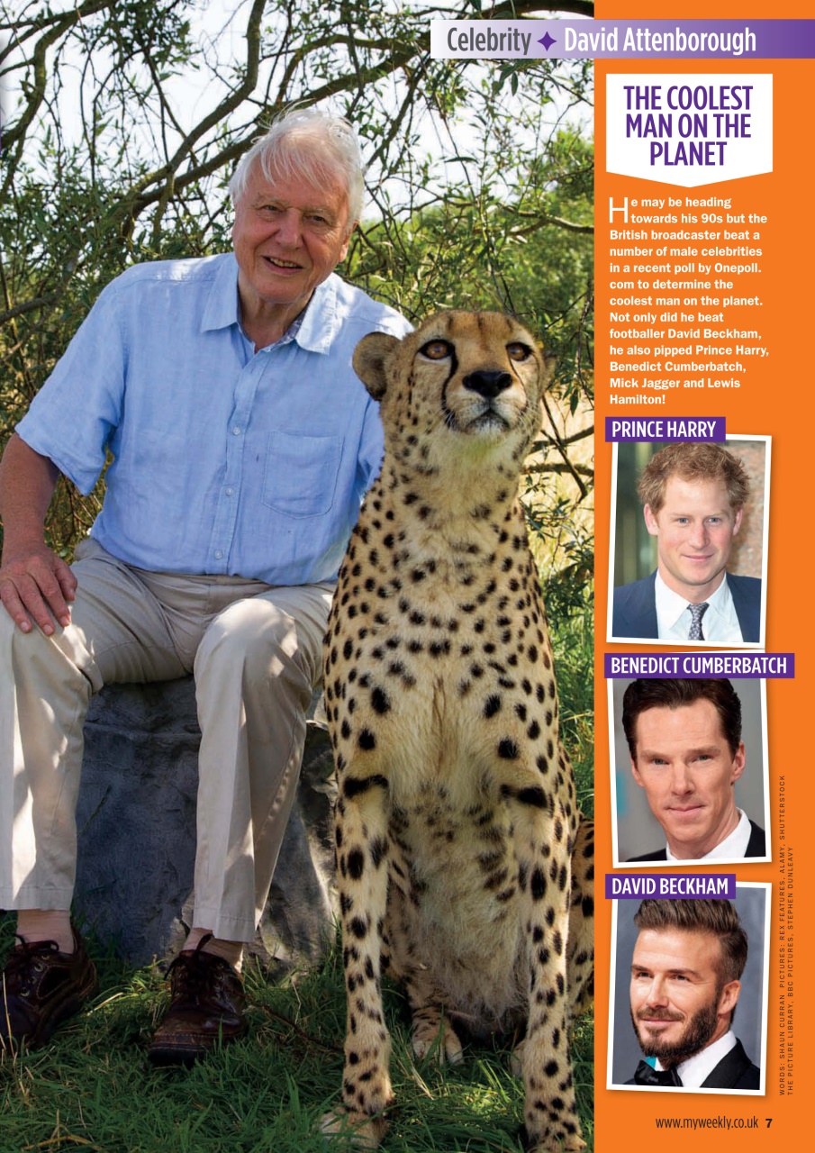 My Weekly Preview Pages