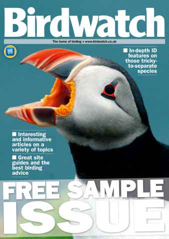 Birdwatch Magazine issue FREE SAMPLE ISSUE