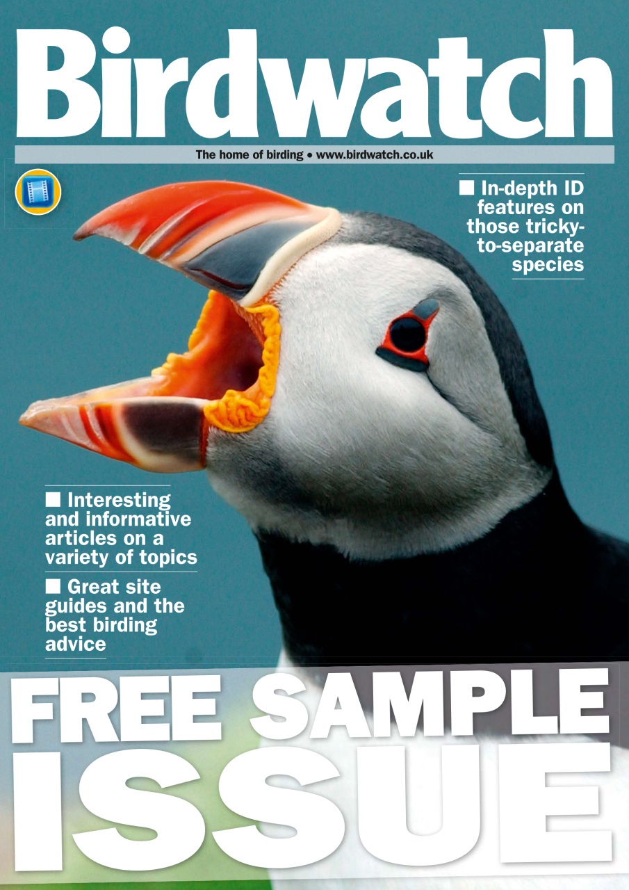 Birdwatch Magazine Preview Pages