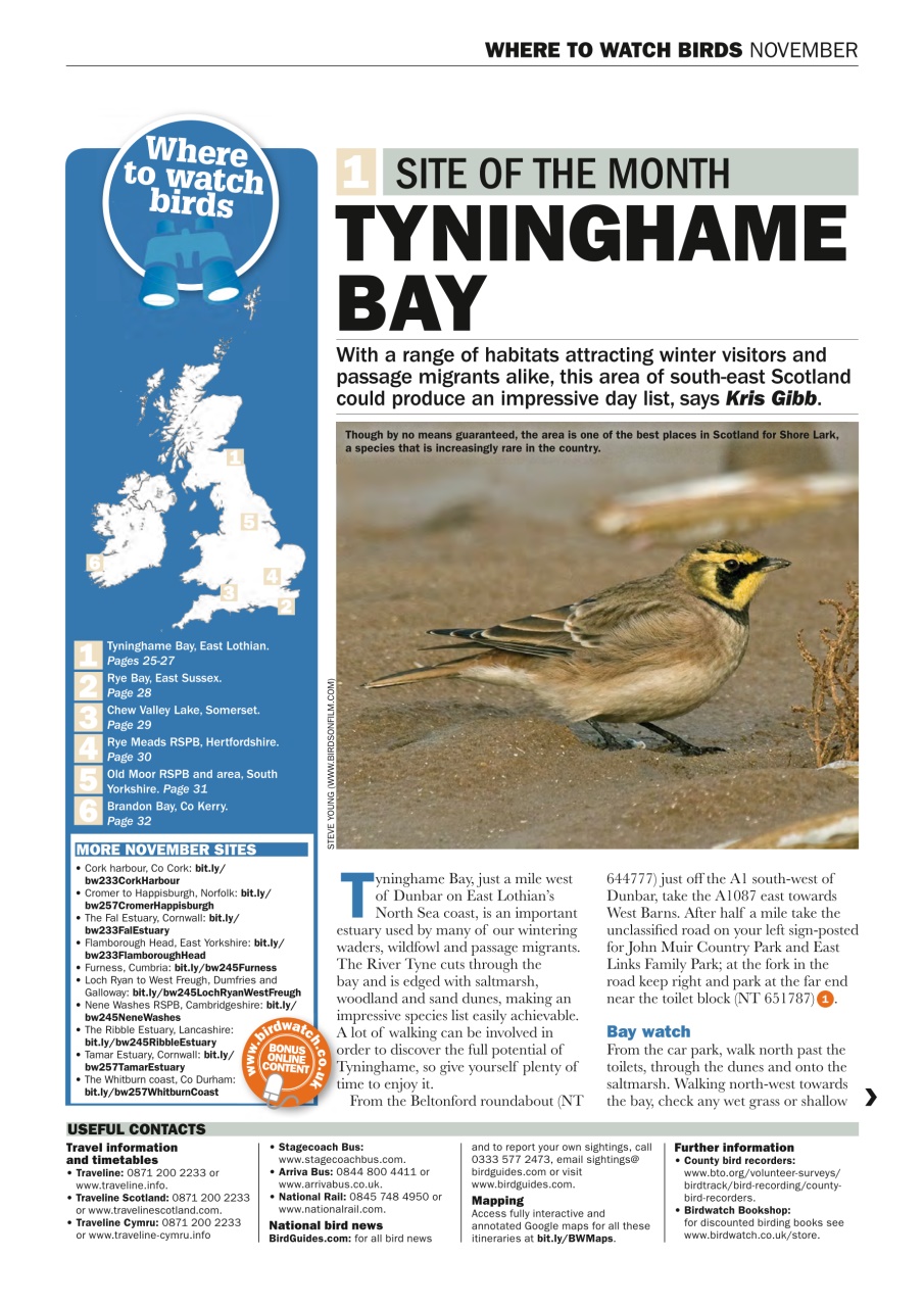Birdwatch Magazine Preview Pages